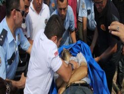 Servis minibüsü kaza yaptı: 20 yaralı