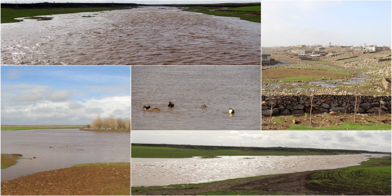 Çınar Karacadağ'da dereler doldu taştı göletler suya doydu