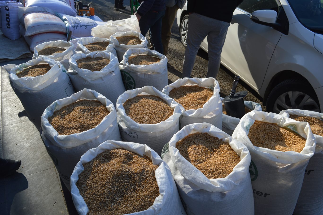 Medrese âlimi ve vaiz Mehmet Fatih Karanfil: Fitre sadece bir yardım değil, oruçtaki kusurları tamamlayan ibadettir