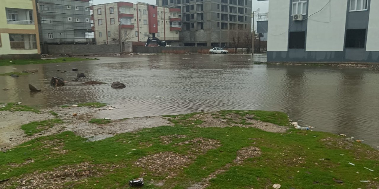 Diyarbakır Çelikevler Mahallesinde kanalizasyon taşkını: Sokak göle döndü