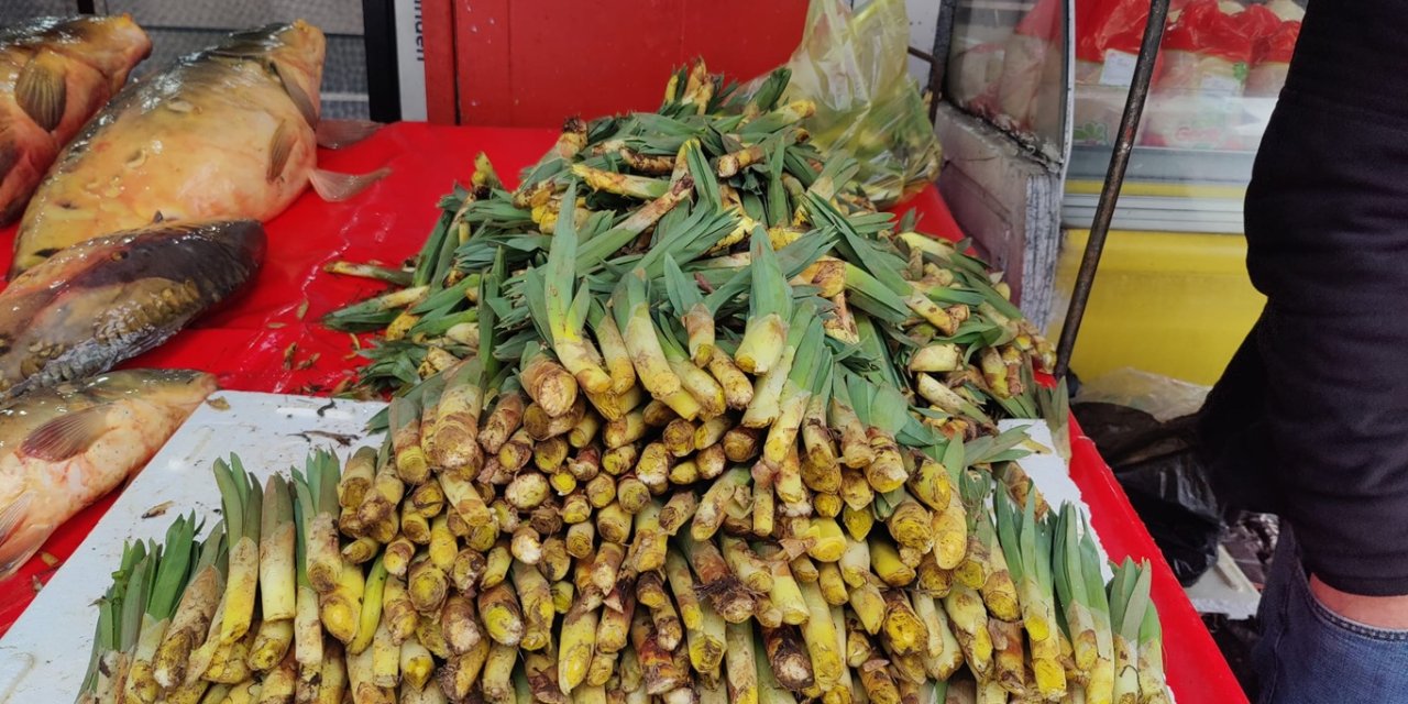 Bingöl’ün dağlarından tezgâhlara: Çiriş otu