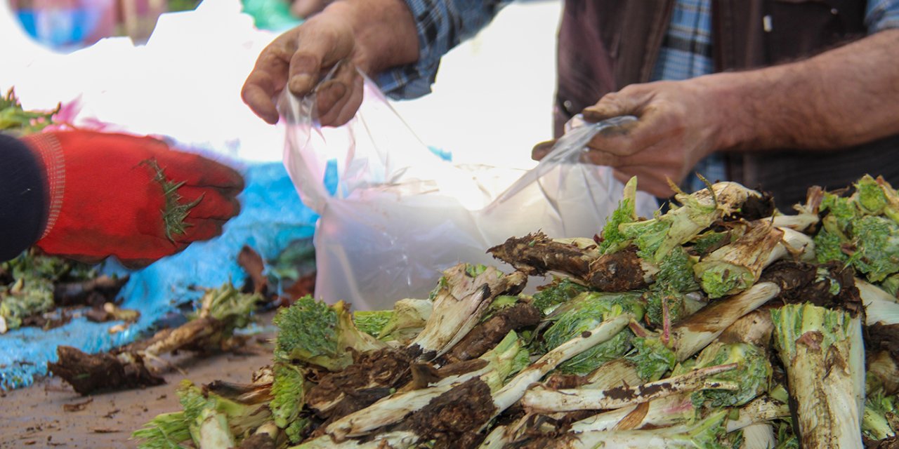 Kenger Diyarbakır'da tezgahlarda: Şifa deposu ama fiyatlar cep yakıyor