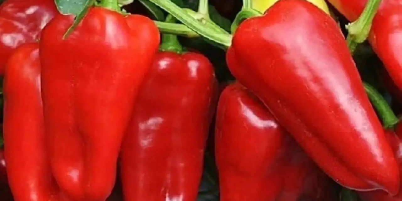 Tarladan 7 liraya alınan biber Diyarbakır'da 200 liraya satıldı