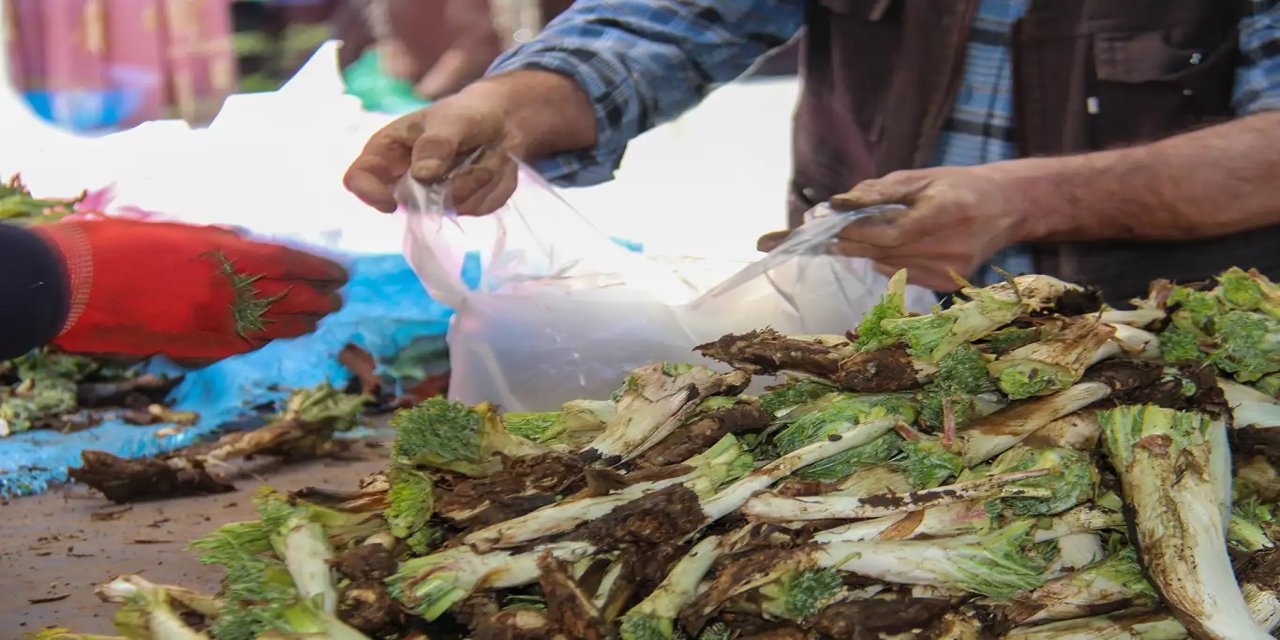 Kereng hat bazaran: Xezîneyeke feydeyên tenduristiyê ye