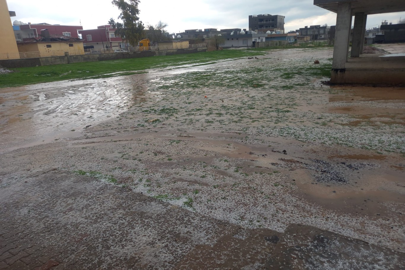 Mardin’in Nusaybin ilçesinde etkili olan dolu yağışı tarım arazilerine zarar verdi