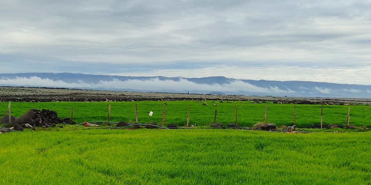 Karacadağ eteklerinde sis bulutu oluştu