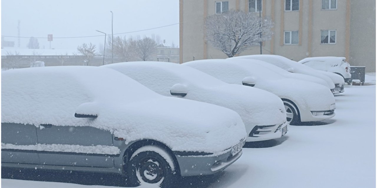 Bitlis'te nisan ayında yoğun kar yağışı etkili oluyor