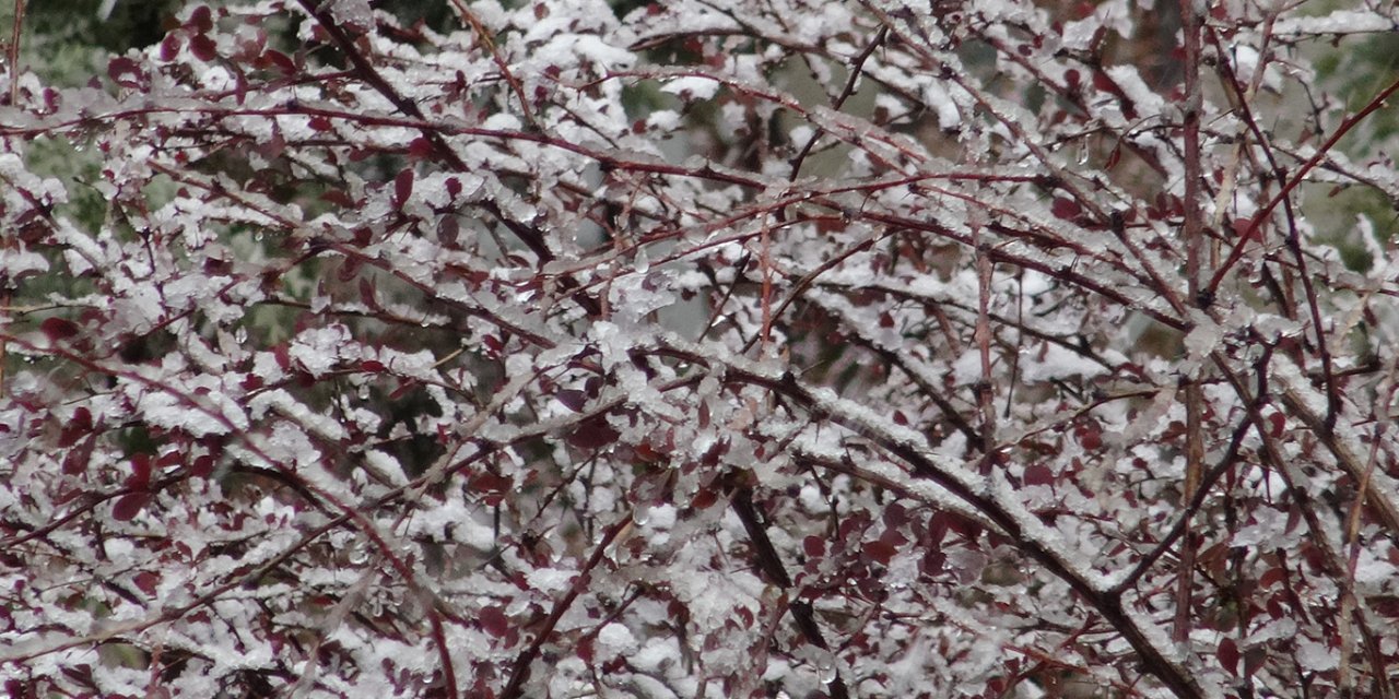 Kar yağışının etkili olduğu Malatya'da üreticilere don uyarısı