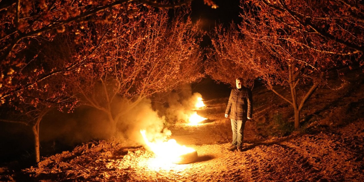Malatya'da zirai don alarmı: Çiftçiler ateşle önlem aldı