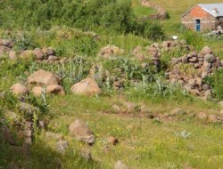 Köylerine geri dönmek istiyorlar