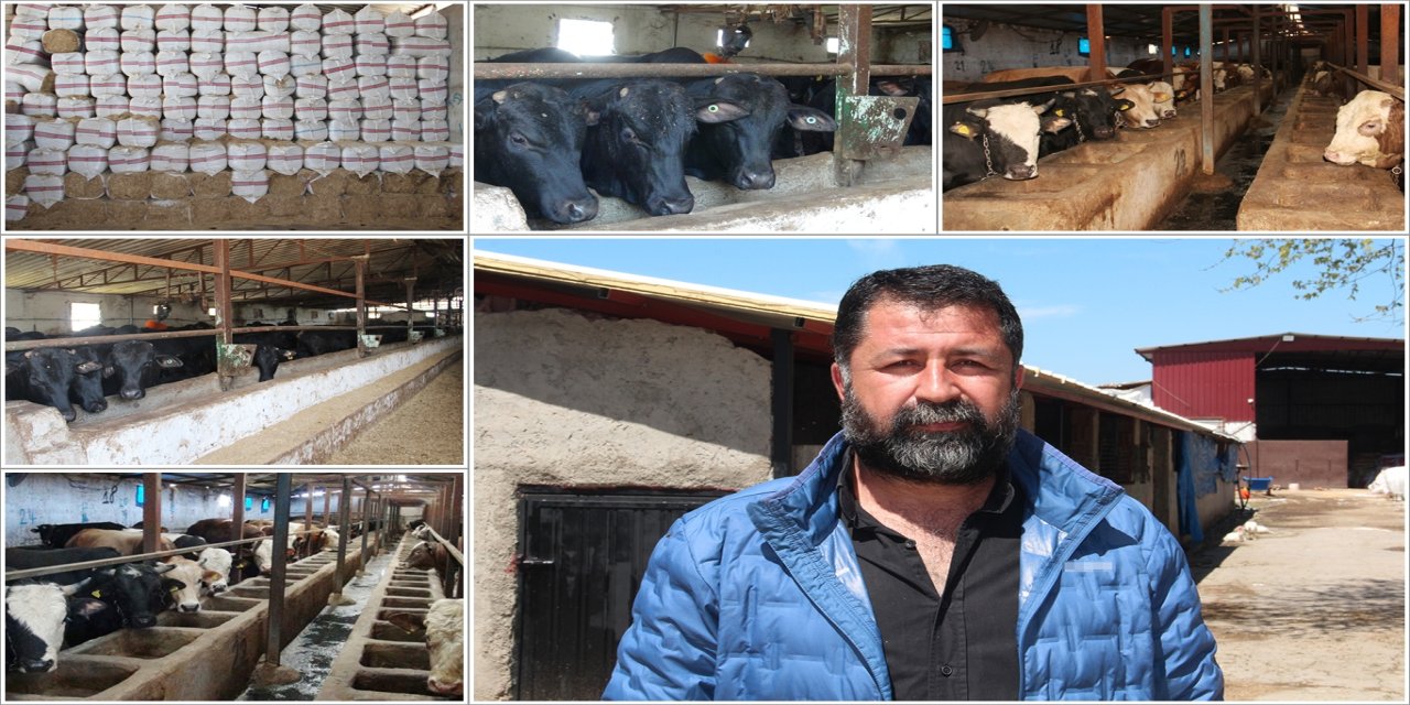 Besicilerden uyarı: Önlem alınmazsa sektör bitecek