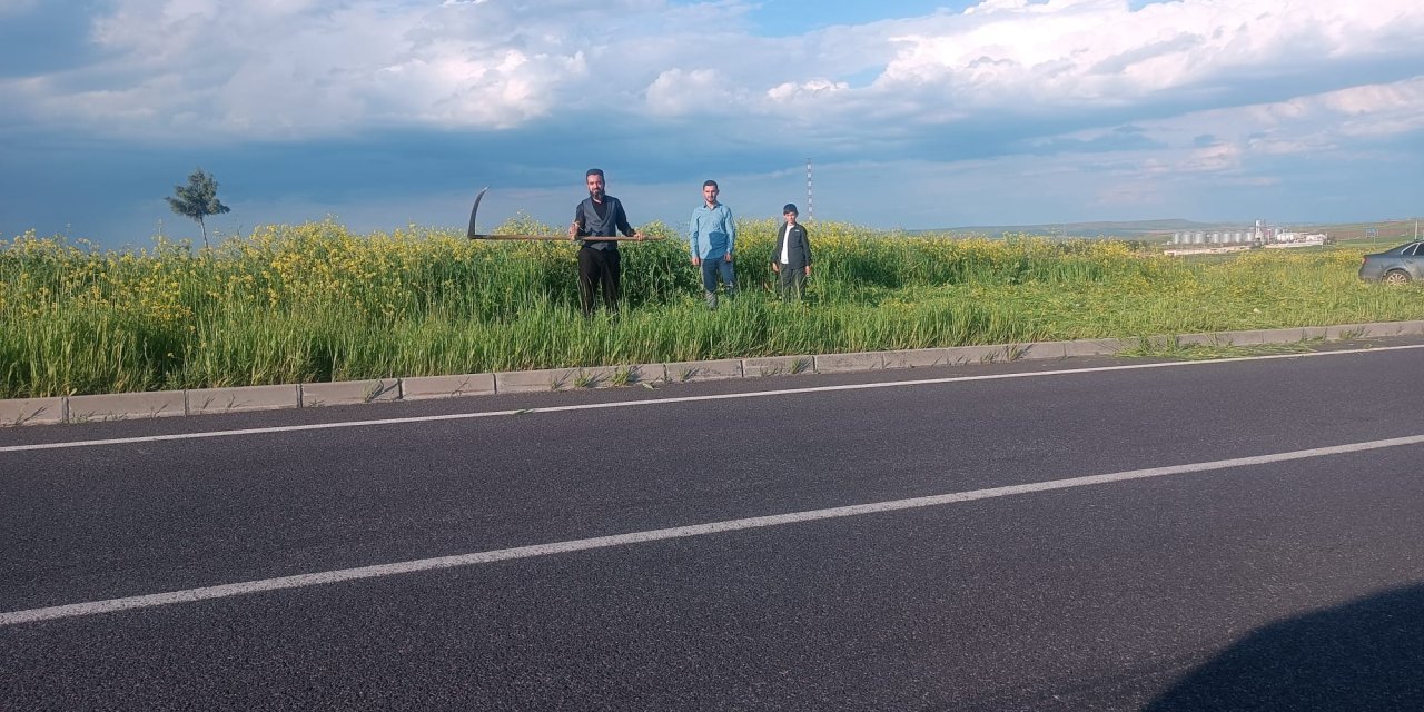 Li Çinarê, melayê gund bi derfetên xwe yên taybet ew giyayên ku li qavşaxê dîtina ajokaran asteng dikirin, paqij kir