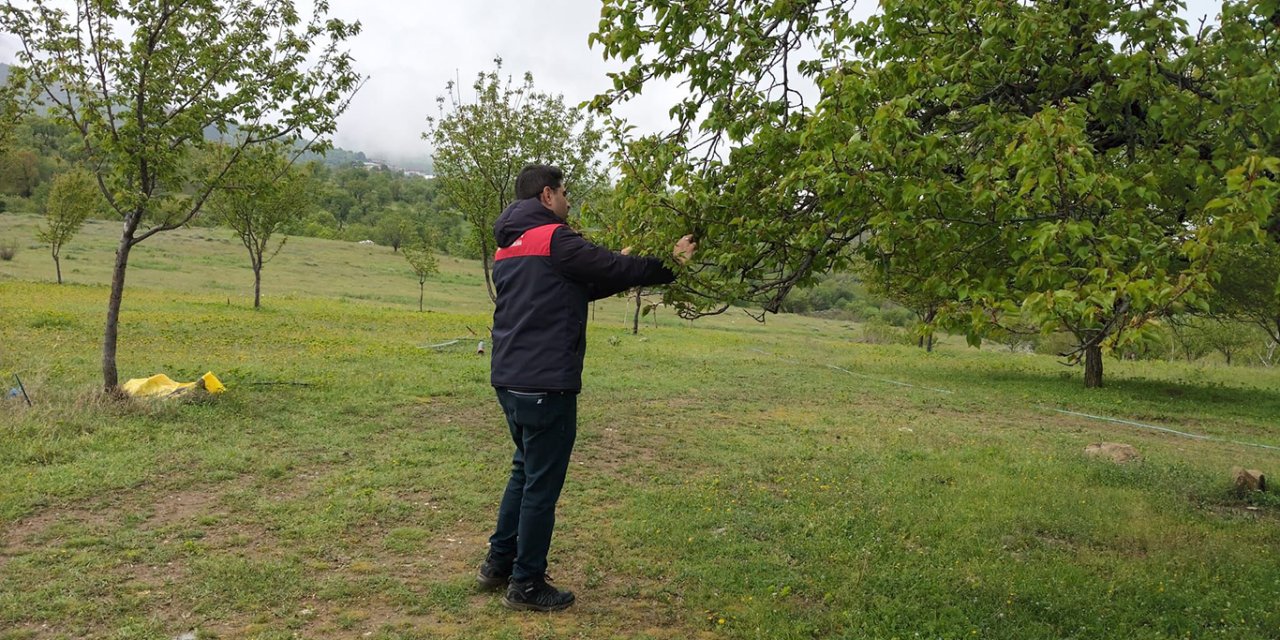 Malatya'da dolu sonrası hasar tespit çalışmalarına başlandı
