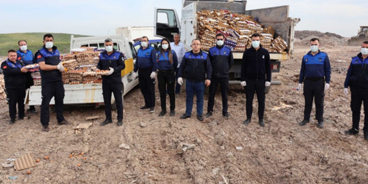 Şanlıurfa’da sağlıksız koşullarda depolanan 5 bin koli yumurta imha edildi