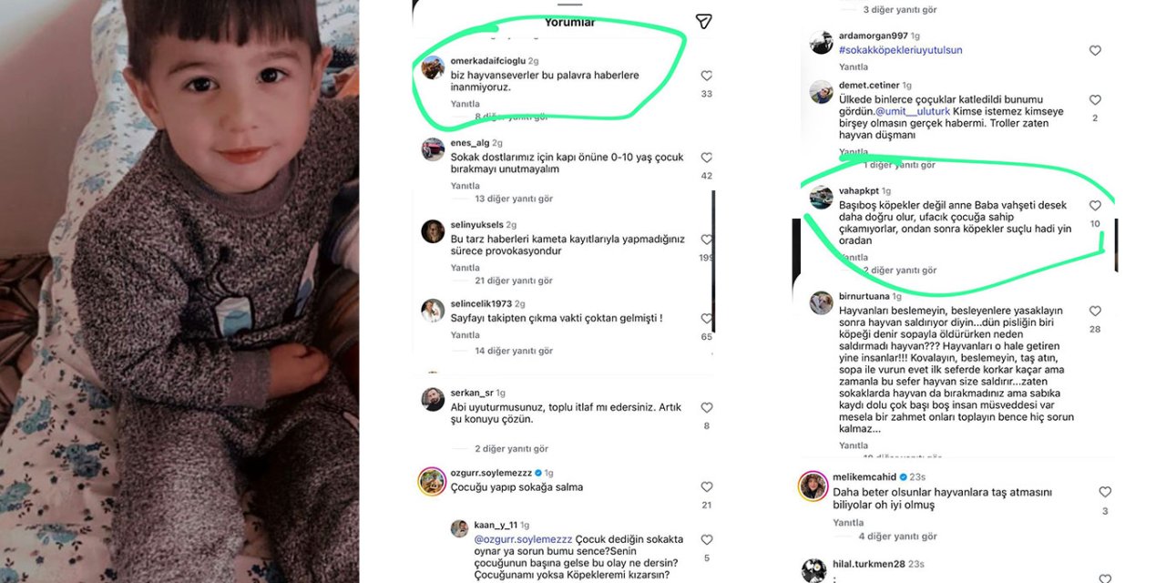 Van’da köpek saldırısında hayatını kaybeden çocuğun ailesine yönelik yorumlara suç duyurusu