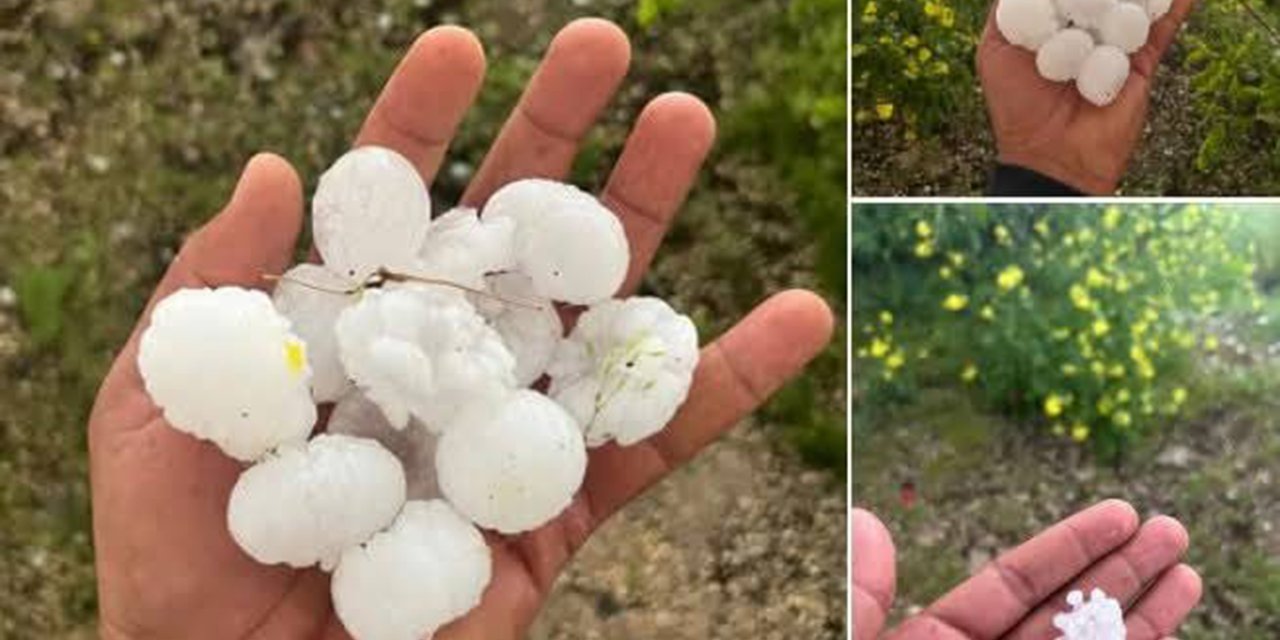 Şanlıurfa’da dolu yağışı fıstık bahçelerine zarar verdi