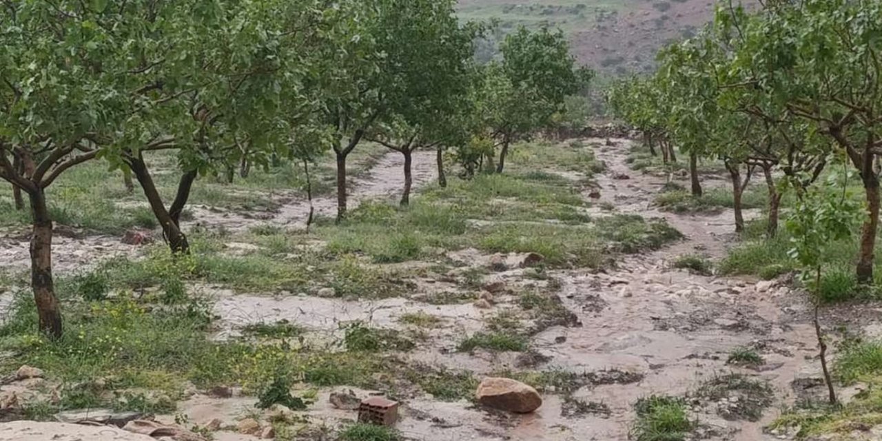 Siirt’te dolu yağışı tarım alanlarında zarara yol açtı