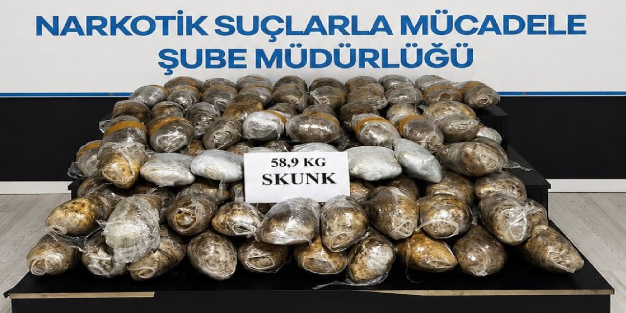 Li Colemêrgê 58 kîlo û 900 gram skunk hat bidestxistin