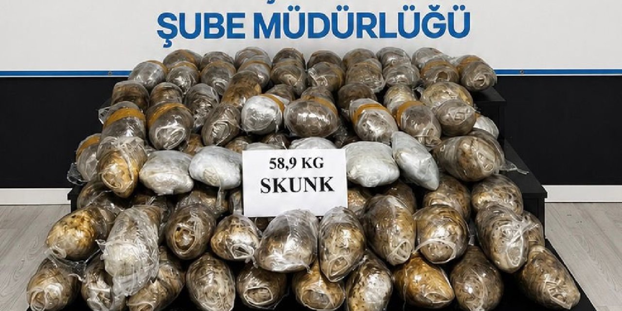 Hakkari'de 58 kilo 900 gram skunk ele geçirildi