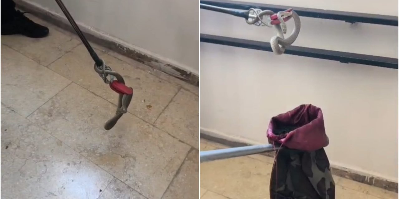 Malatya Yeşilyurt'da TOKİ konutlarında yılan paniği