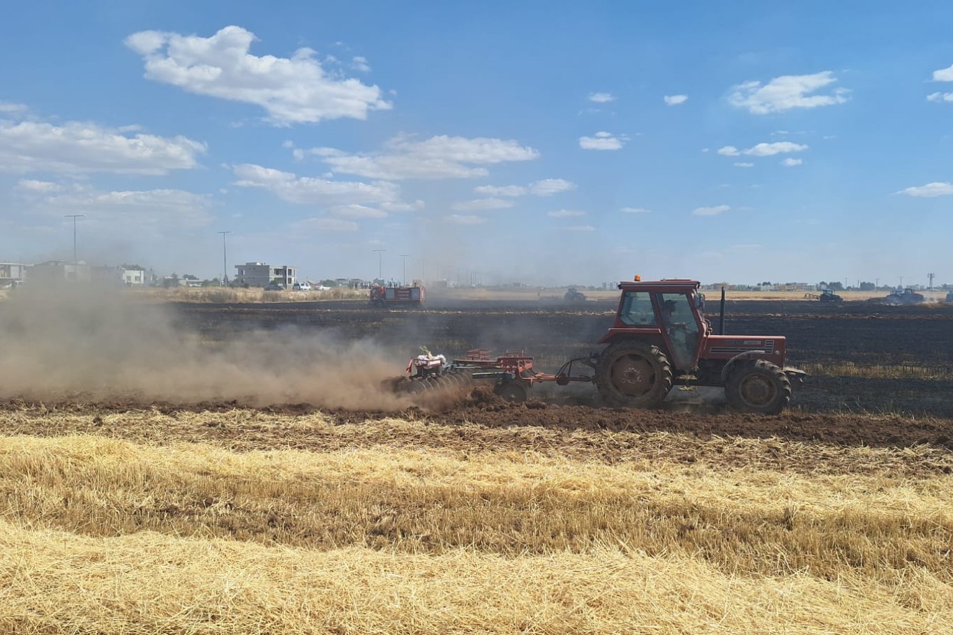 Mardin'in Kızıltepe ilçesinde yaklaşık 80 dönüm bu