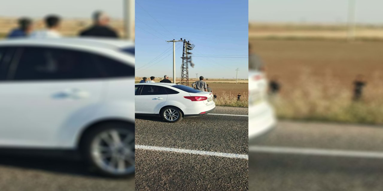 Şanlıurfa'nın Akçakale ilçesinde elektrik akımına kapılan şa
