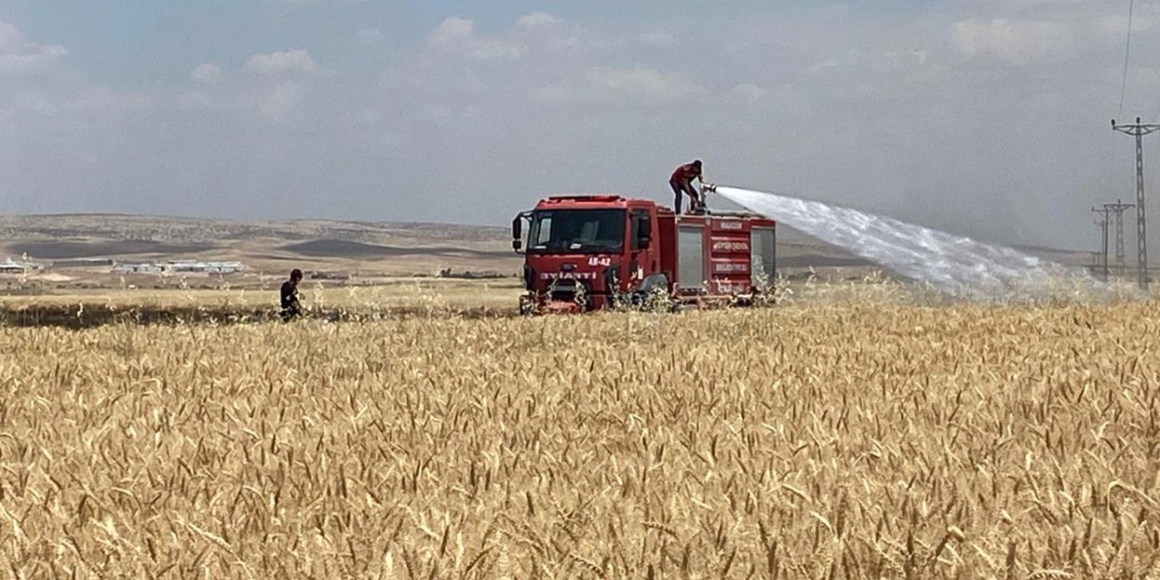 Mardin’de yaklaşık 300 dönüm ekili alan yandı