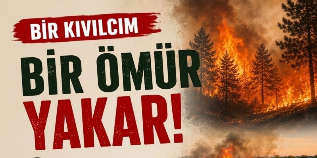 Çınar Kaymakamlığı'ndan önemli uyarı