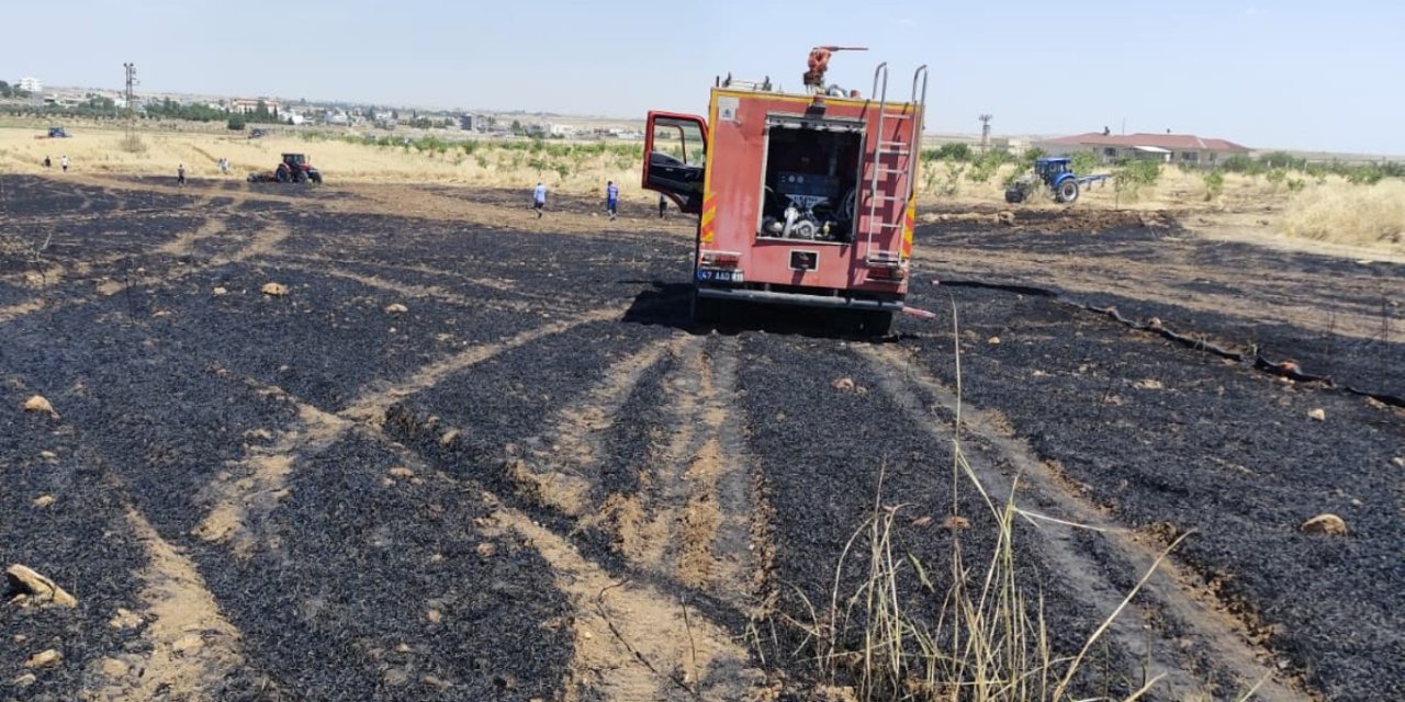 Mardin'de 40 dönüm ekili alan yandı
