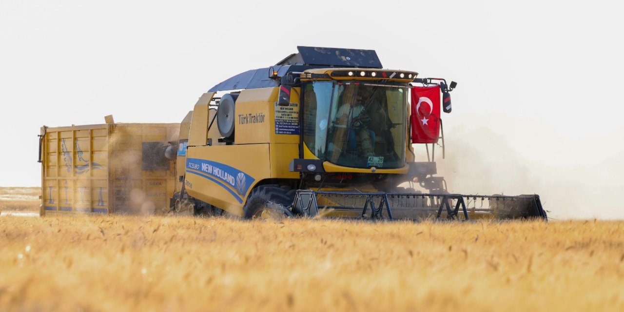 Mardin Ovası'nda buğday hasadı sürüyor: Bir milyonu aşkın ekili dekardan 709 bin 511 ton üretim hedefleniyor
