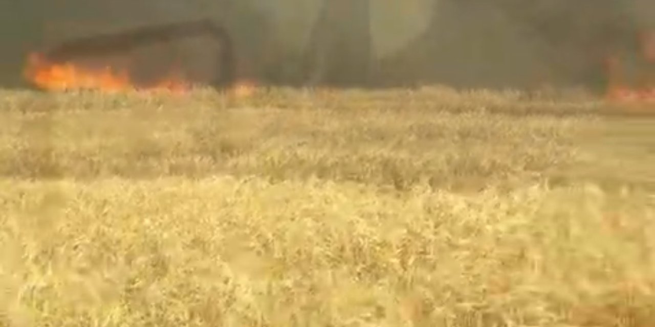 Çınar'ın köylerinde çok büyük bir yangın var
