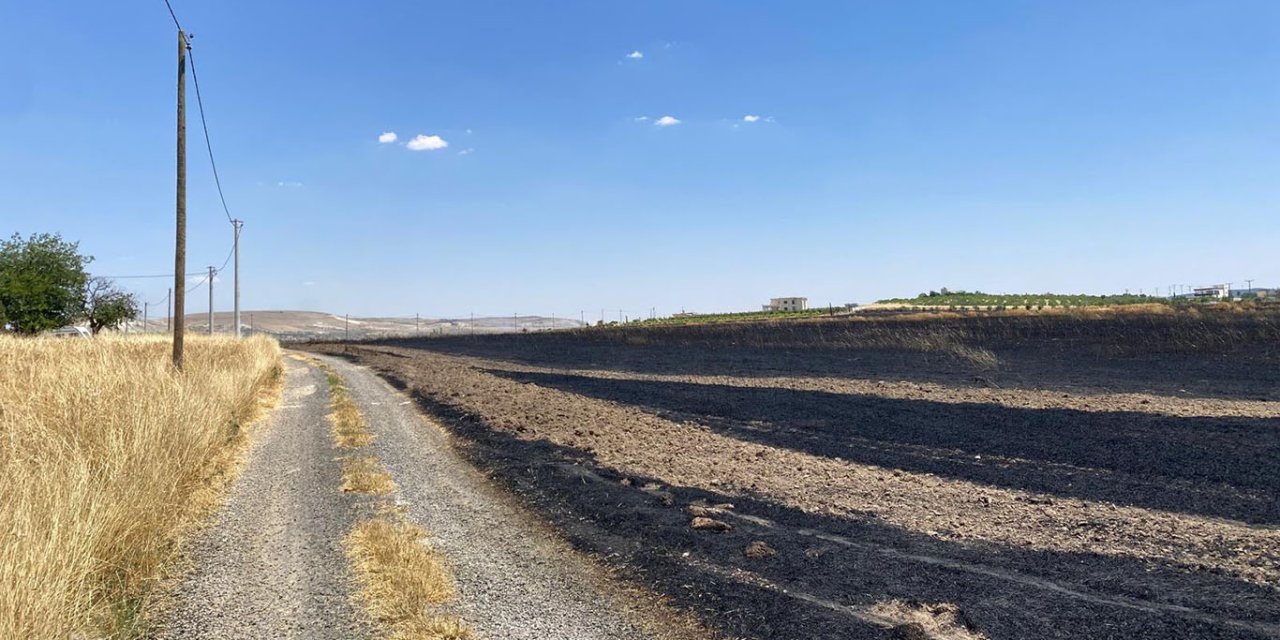 Şanlıurfa’da arpa tarlasında yangın: 300 dönüm alan zarar gördü