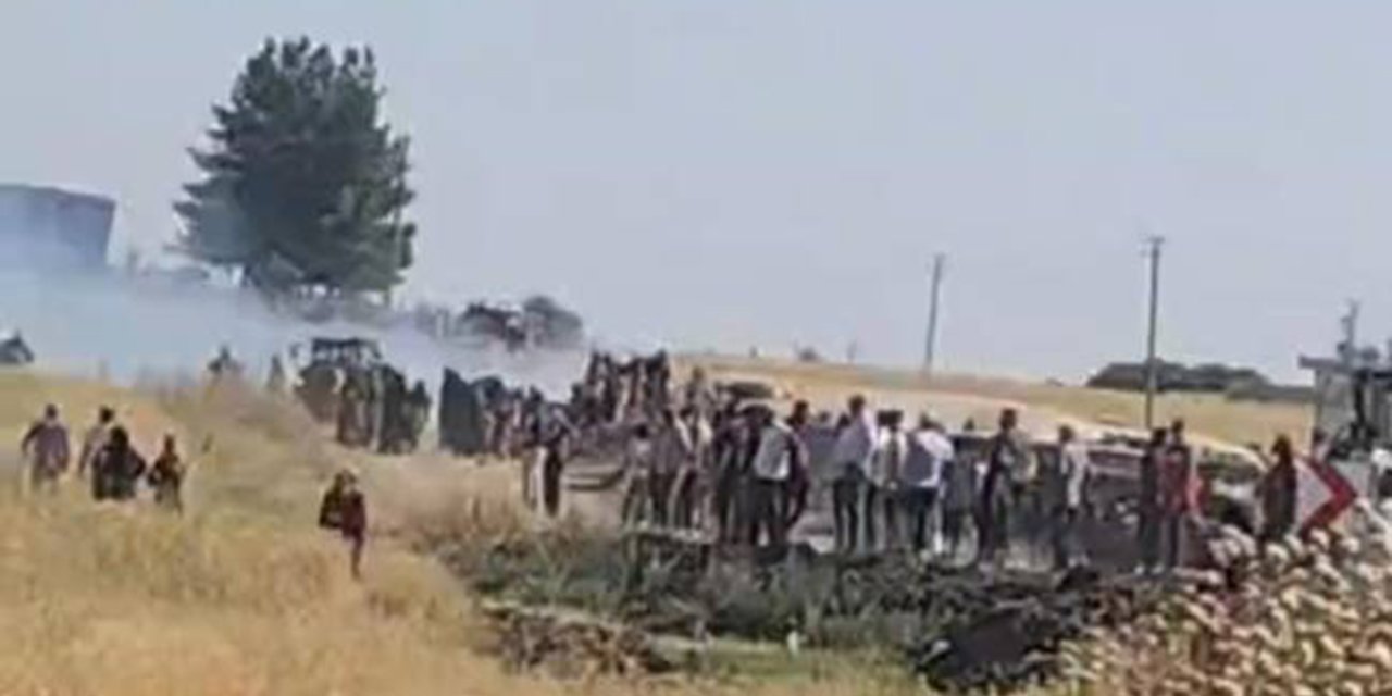 Şanlıurfa’da çıkan yangında 500 dönüm buğday ekili alan yandı