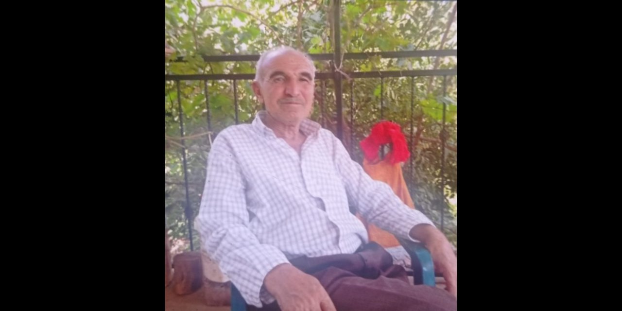 Li gundê Botika yê Çinarê kesekî bavê xwe kuşt