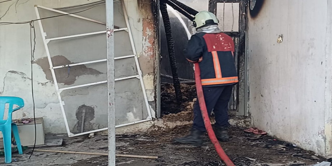Qezaya Mêrdîni Qoser de adirê keyeyî de yoneka 7 serrî merde