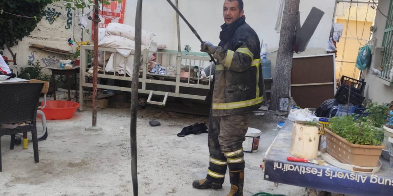 Batman’da 2 metre uzunluğunda yılan yakalanarak doğaya bırakıldı