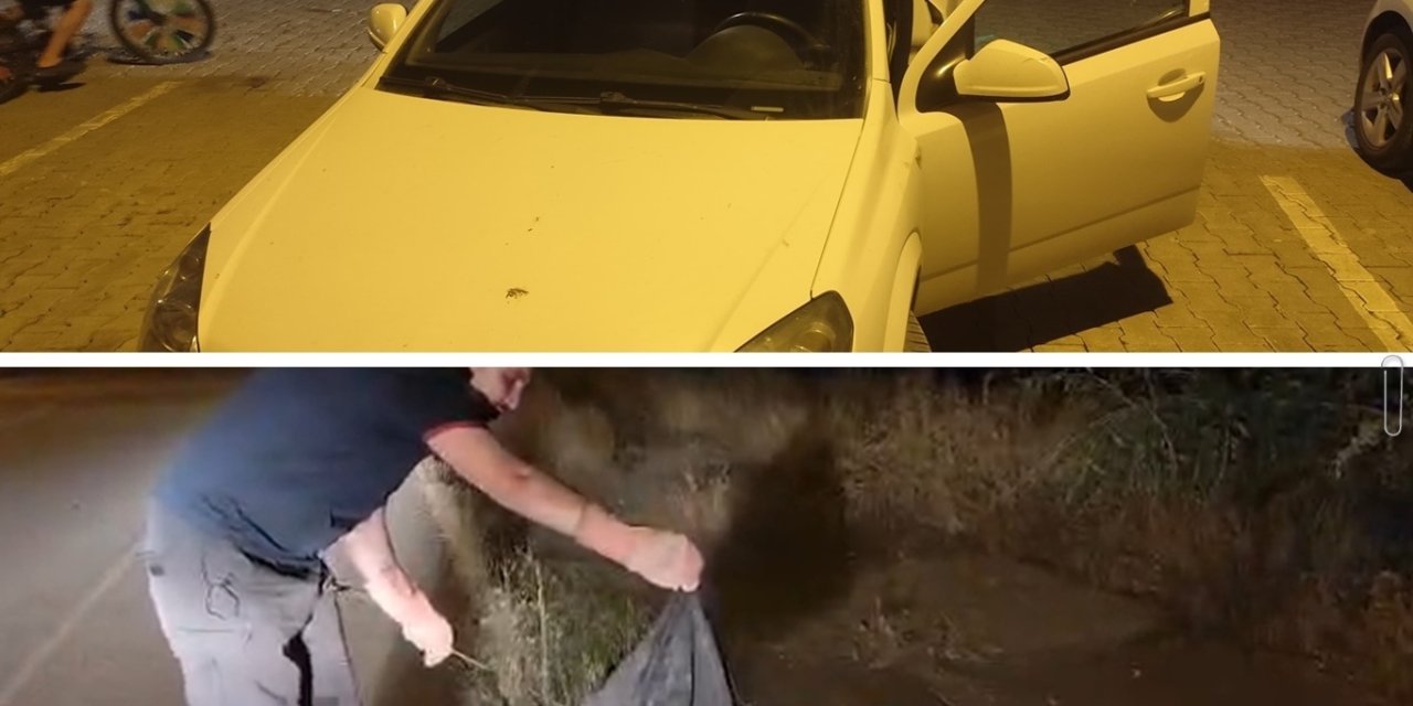 Batman'da araca giren yılan yakalanarak doğaya salındı