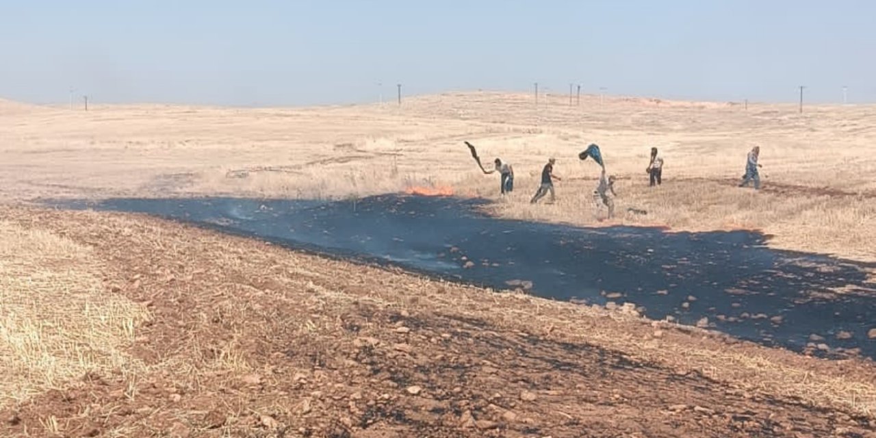 Mardin’in Kızıltepe ilçesinde anız yangını yerleşim alanına sıçradı