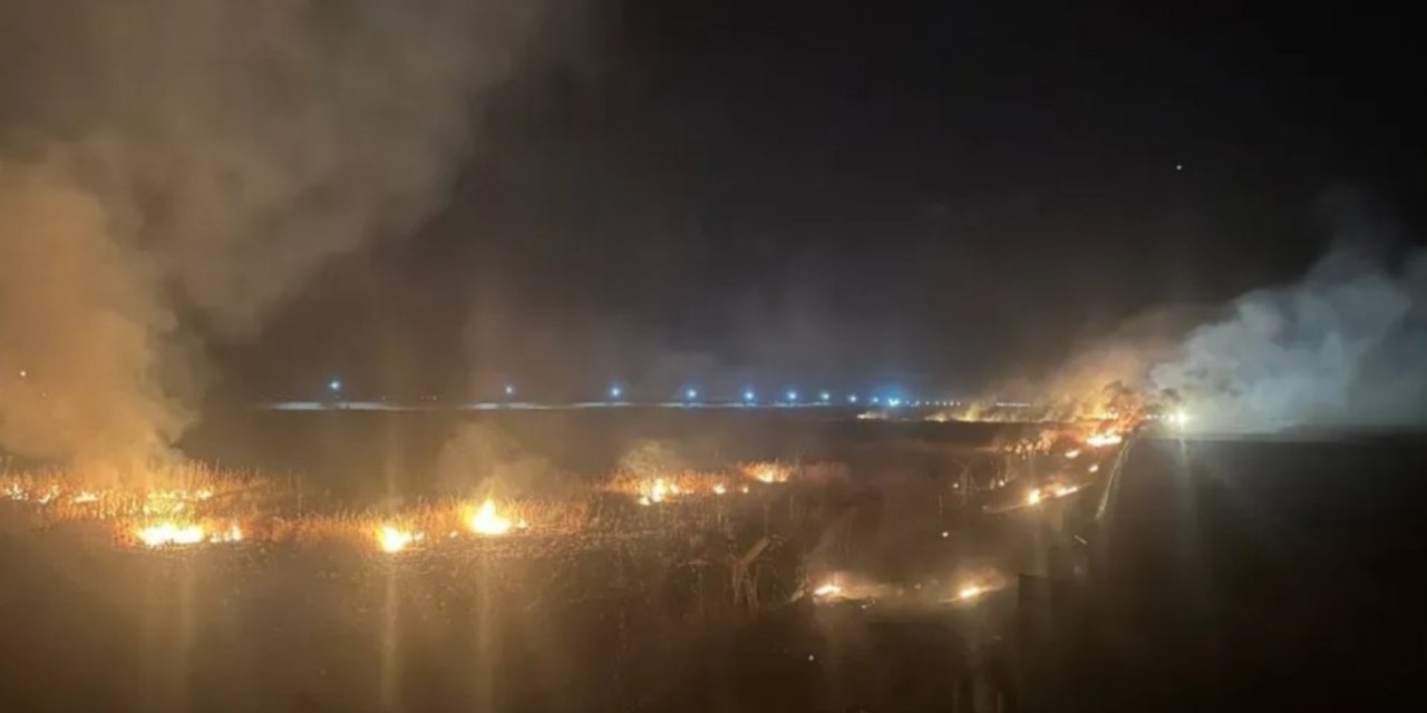 Li Mêrdînê şewatên pirêza yên ku ketibûn nav qadên niştecihbûnê hatin kontrolkirin