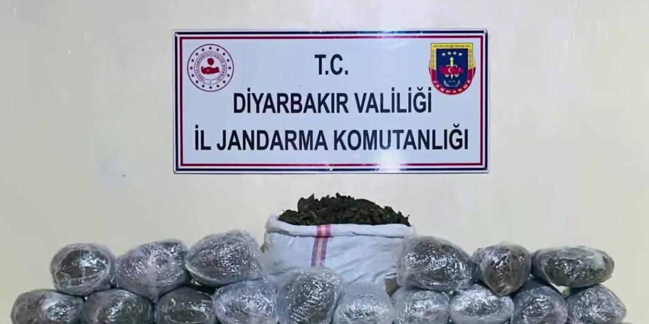 Diyarbakır'da 1 milyon 755 bin kök kenevir ve skunk ele geçirildi