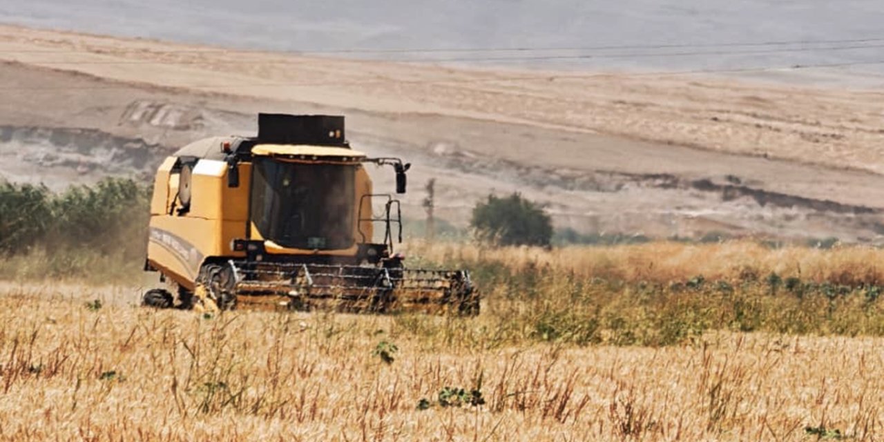 Şırnak Silopi'de buğday ve arpa hasadı başladı: Çiftçiler yoğun mesai harcıyor