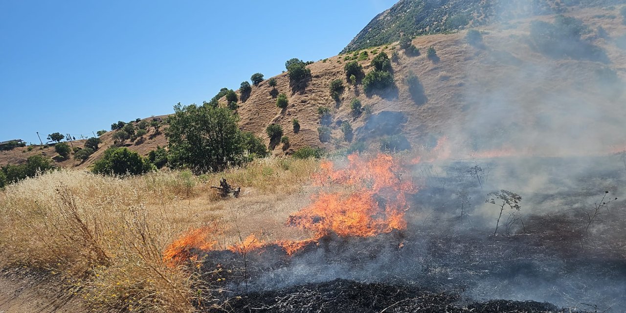 Diyarbakır'ın Dicle ilçesinde ormanlık alanda yangın çıktı