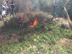 Diyarbakır'da uyuşturucu tacirlerine baskınlar devam ediyor