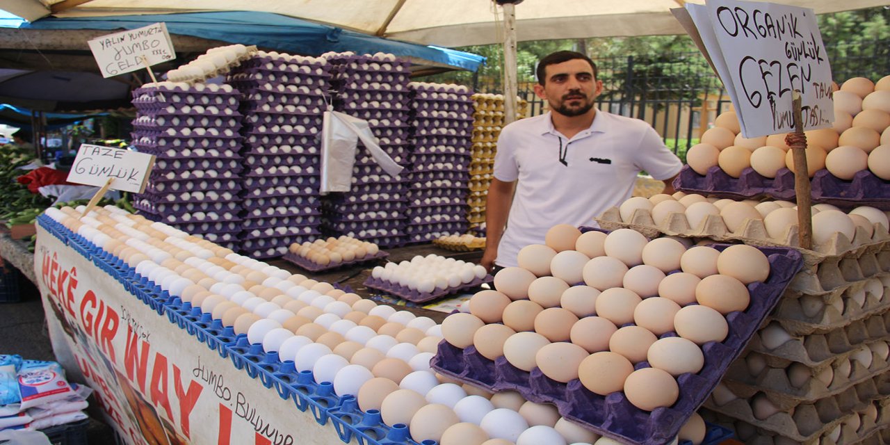 Diyarbakır'da yumurtacı esnafı: Fiyatlar uygun ama iş yok
