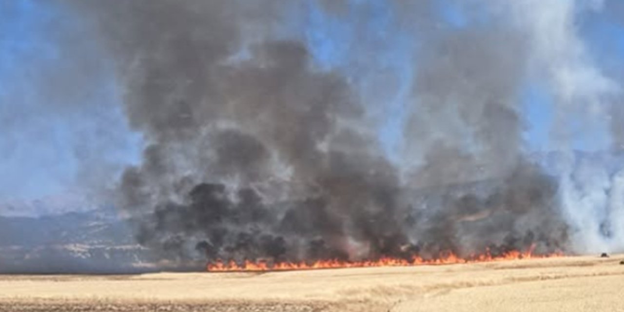 Qezaya Darahênê ya Çolîgî de adirê erdî