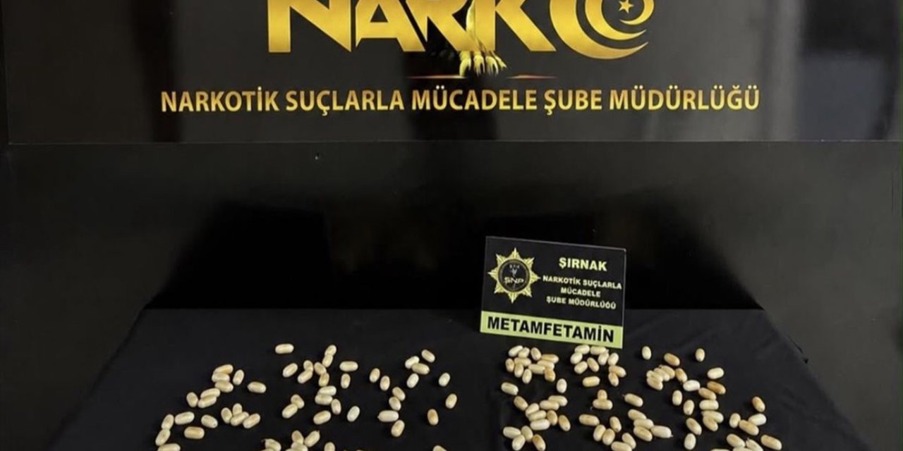 Şırnak'ta midelerinde uyuşturucu kapsülleri bulunan 2 kişi tutuklandı