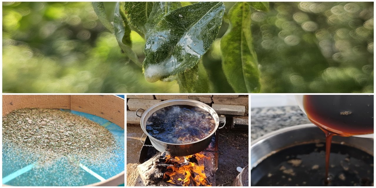 Li Şirnexê ji Gezûyê çêkirina dimsê dest pê kir