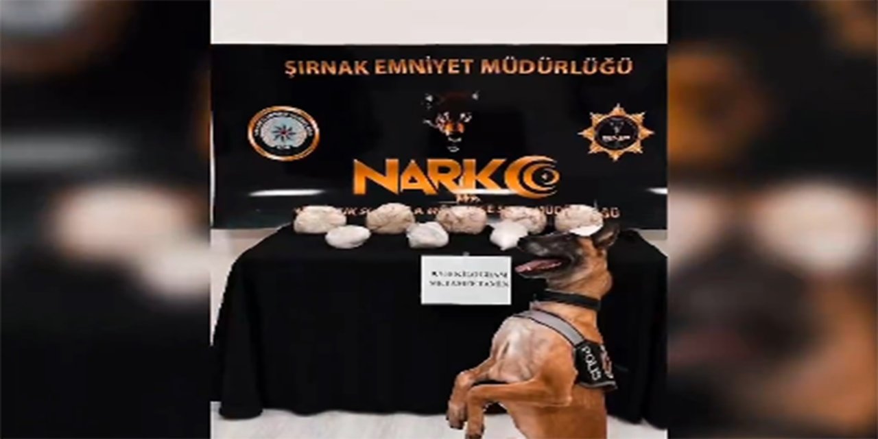 Li Şirnexê 9 kîlo û 700 gram metamfetamîn hat desteserkirin