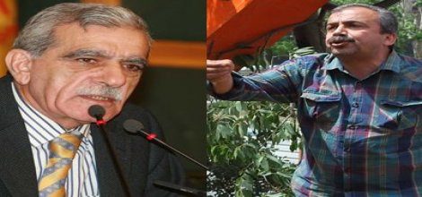 Türk'ten Sırrı Süreyya'ya Gezi Tepkisi