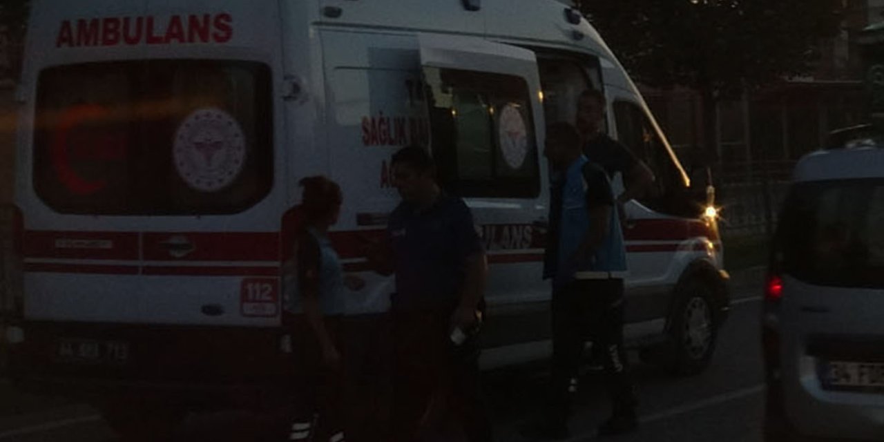 Malatya'da hafif ticari araç aydınlatma direğine çarptı: 2 yaralı